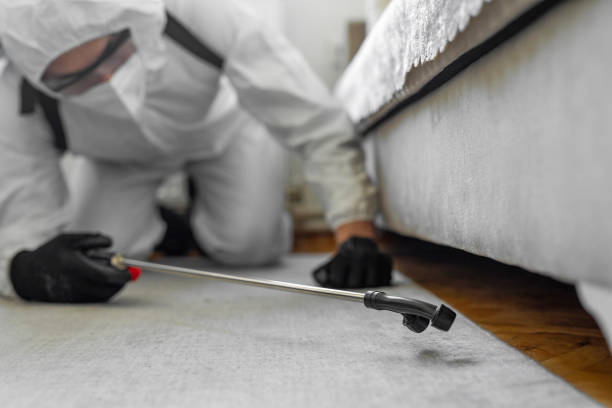 Professional Termite Control technician working in Sharon, TN