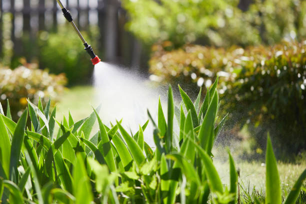 24/7 Emergency Termite Control experts in Sharon, TN