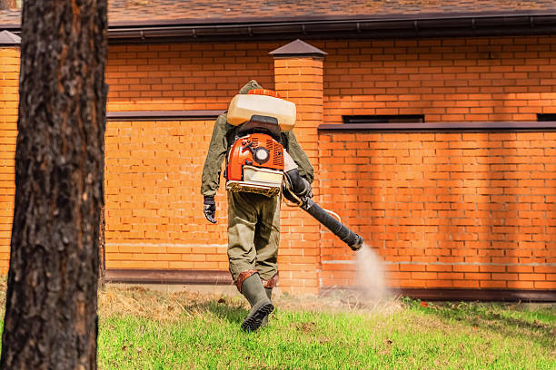 Top rated local Termite Control specialists in Sharon, TN